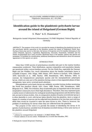 Identification Guide to the Planktonic Polychaete Larvae Around the Island of Helgoland (German Bight)