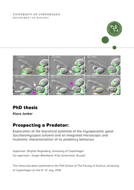 Phd Thesis Prospecting a Predator