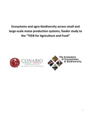 Ecosystems and Agro-Biodiversity Across Small and Large-Scale Maize Production Systems, Feeder Study to the “TEEB for Agriculture and Food”