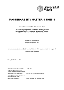 Masterarbeit / Master's Thesis