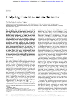 Hedgehog: Functions and Mechanisms