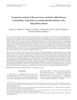 Cytogenetic Analysis of Baryancistrus Xanthellus (Siluriformes: Loricariidae: Ancistrini), an Ornamental Fish Endemic to the Xingu River, Brazil