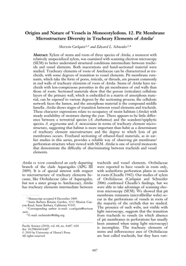 Origins and Nature of Vessels in Monocotyledons. 12. Pit Membrane Microstructure Diversity in Tracheary Elements of Astelia1