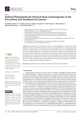 Natural Phytochemicals Derived from Gymnosperms in the Prevention and Treatment of Cancers