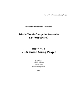 Report 1 – Vietnamese Young People