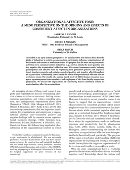 Organizational Affective Tone: a Meso Perspective on the Origins and Effects of Consistent Affect in Organizations