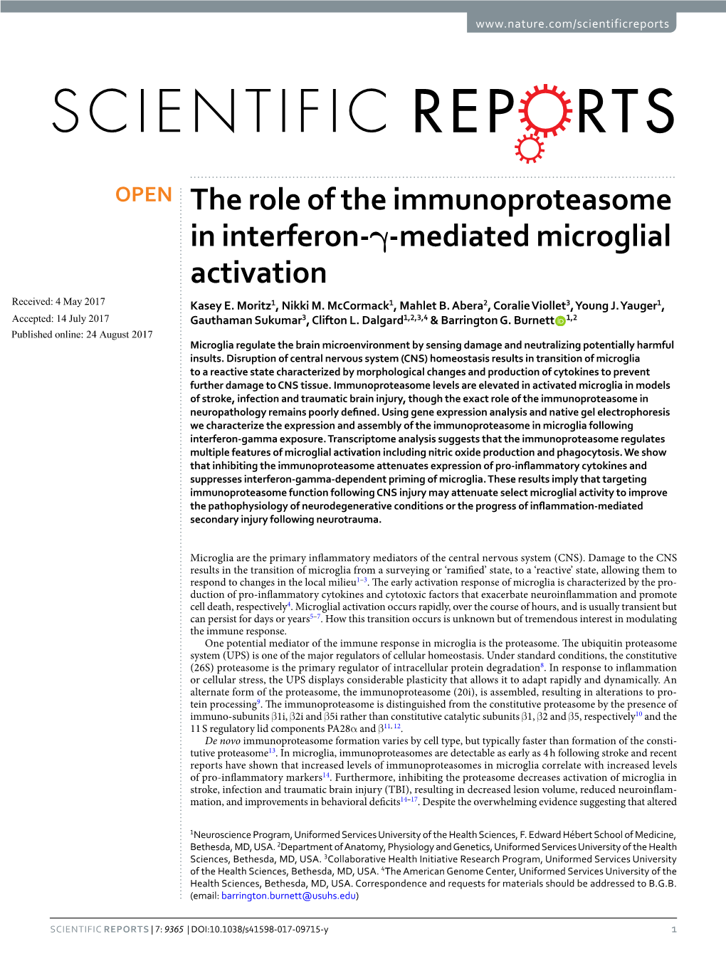 The Role of the Immunoproteasome in Interferon-Γ-Mediated Microglial Activation Received: 4 May 2017 Kasey E