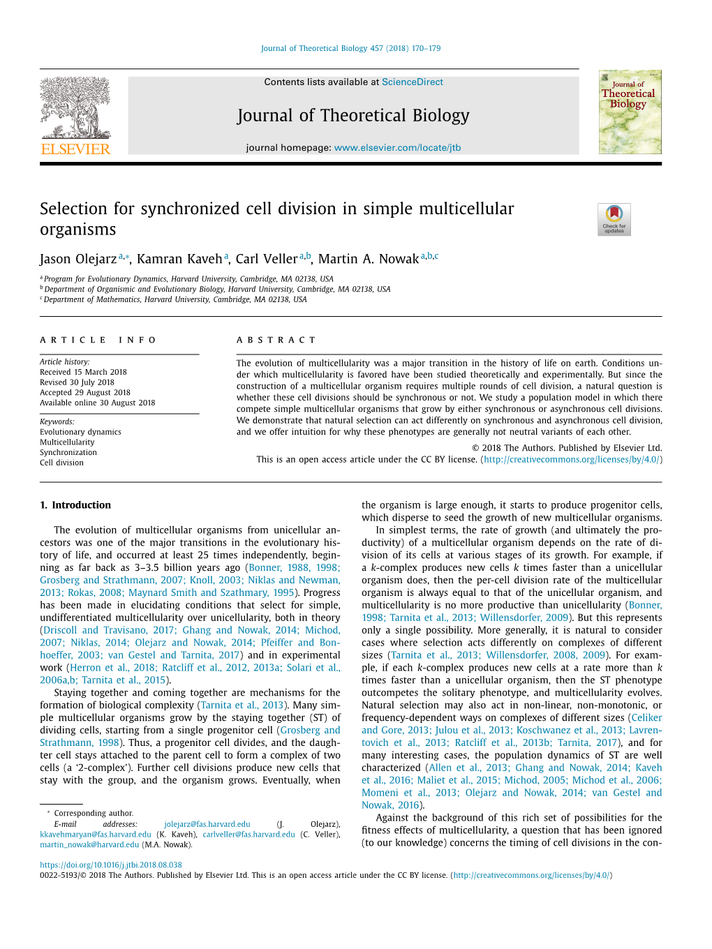 Selection for Synchronized Cell Division in Simple Multicellular Organisms