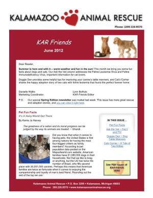 Feline Leukemia Virus and Feline Immunodeficiency Virus, Important Information for Cat Lovers