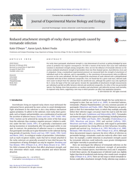 Reduced Attachment Strength of Rocky Shore Gastropods Caused by Trematode Infection