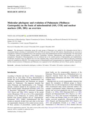Molecular Phylogeny and Evolution of Pulmonata (Mollusca: Gastropoda) on the Basis of Mitochondrial (16S, COI) and Nuclear Markers (18S, 28S): an Overview