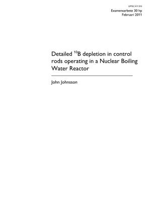 Detailed B Depletion in Control Rods Operating in a Nuclear Boiling