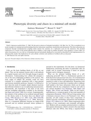 Phenotypic Diversity and Chaos in a Minimal Cell Model