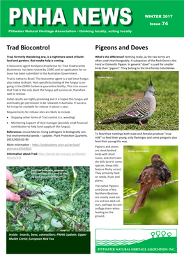 Trad Biocontrol Pigeons and Doves