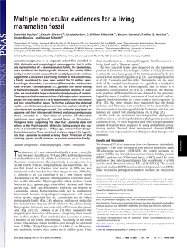 Multiple Molecular Evidences for a Living Mammalian Fossil