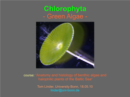 Introduction to the Chlorophyta
