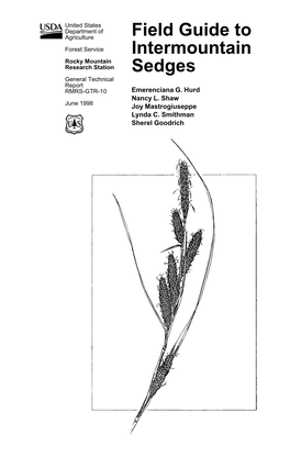 Field Guide to Intermountain Sedges