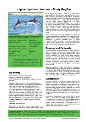 Lagenorhynchus Obscurus – Dusky Dolphin