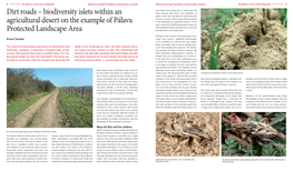 Dirt Roads – Biodiversity Islets Within an Agricultural Desert on The