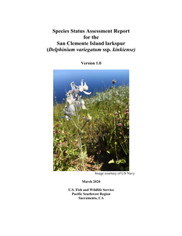 Species Status Assessment Report for the San Clemente Island Larkspur (Delphinium Variegatum Ssp