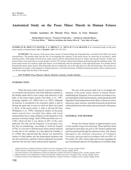 Anatomical Study on the Psoas Minor Muscle in Human Fetuses
