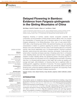 Delayed Flowering in Bamboo: Evidence from Fargesia Qinlingensis in the Qinling Mountains of China