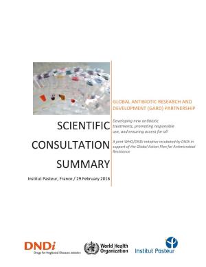 Scientific Consultation Summary
