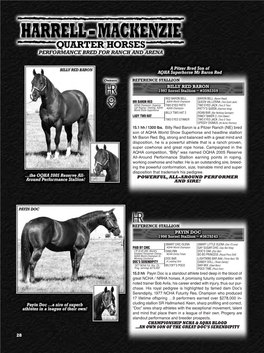 28 Powerful, All-Around Performer and Sire