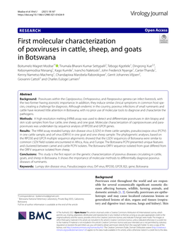First Molecular Characterization of Poxviruses in Cattle, Sheep, And