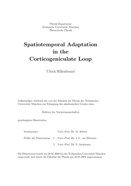 Spatiotemporal Adaptation in the Corticogeniculate Loop