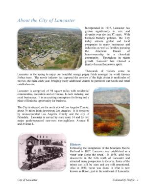 Community Profile - 1 the World‟S Largest Open-Pit Borax Mine Is Still Operational Today