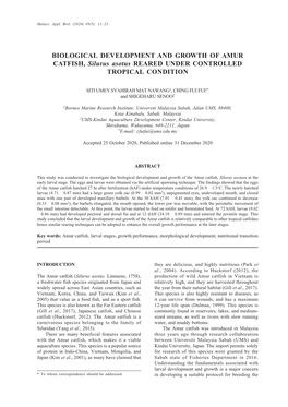 BIOLOGICAL DEVELOPMENT and GROWTH of AMUR CATFISH, Silurus Asotus REARED UNDER CONTROLLED TROPICAL CONDITION