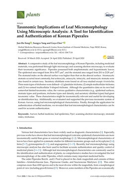 Taxonomic Implications of Leaf Micromorphology Using Microscopic Analysis: a Tool for Identiﬁcation and Authentication of Korean Piperales