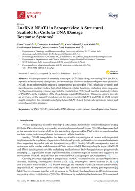 Lncrna NEAT1 in Paraspeckles: a Structural Scaﬀold for Cellular DNA Damage Response Systems?