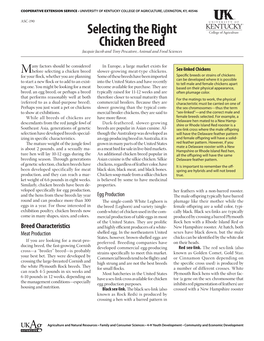 Selecting the Right Chicken Breed Jacquie Jacob and Tony Pescatore, Animal and Food Sciences