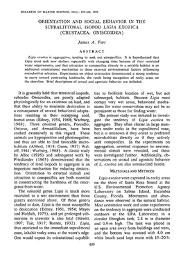 Orientation and Social Behavior in the Supralittoral Isopod &lt;I&gt;Ligia