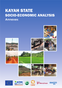 Assessment Kayah State Socio-Economic Analysis