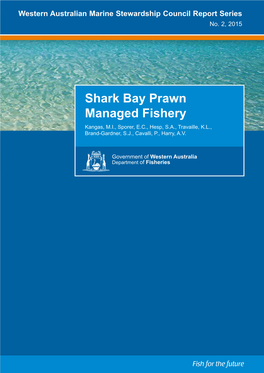 Shark Bay Prawn Managed Fishery Kangas, M.I., Sporer, E.C., Hesp, S.A., Travaille, K.L., Brand-Gardner, S.J., Cavalli, P., Harry, A.V