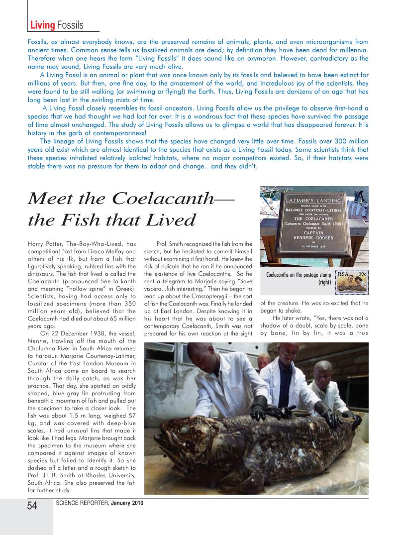 Meet the Coelacanth— the Fish That Lived