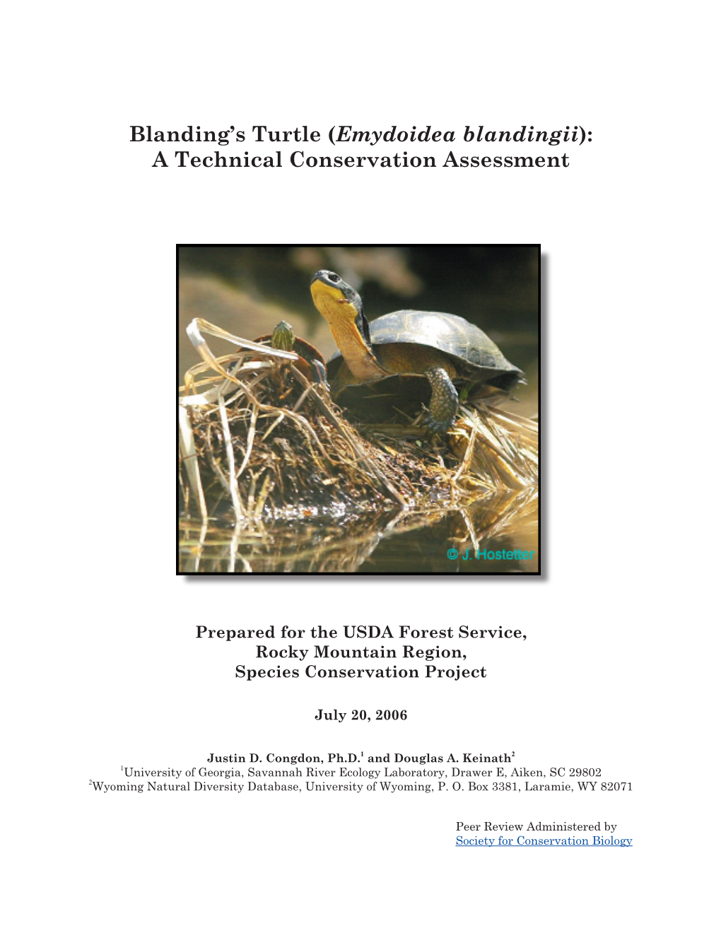 Blanding's Turtle