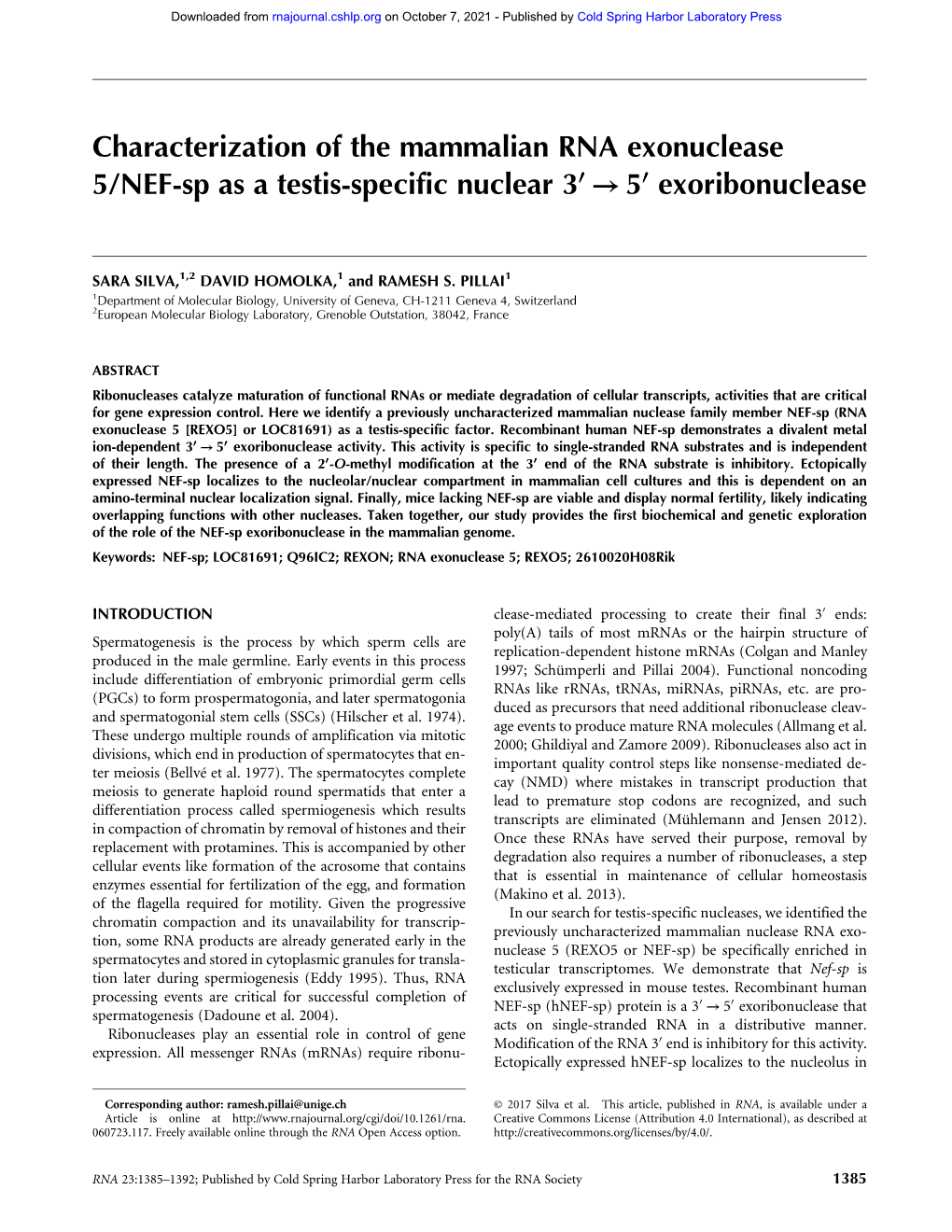 Characterization of the Mammalian RNA Exonuclease 5/NEF-Sp As a Testis-Specific Nuclear 3′′′′′ → 5′′′′′ Exoribonuclease