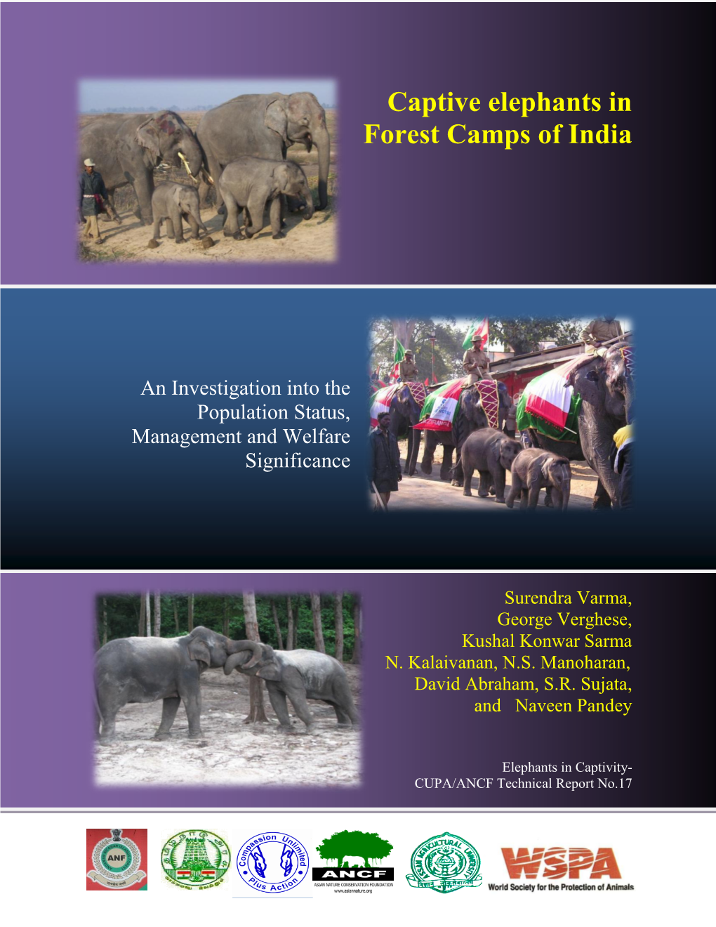 Captive Elephants in Forest Camps of India