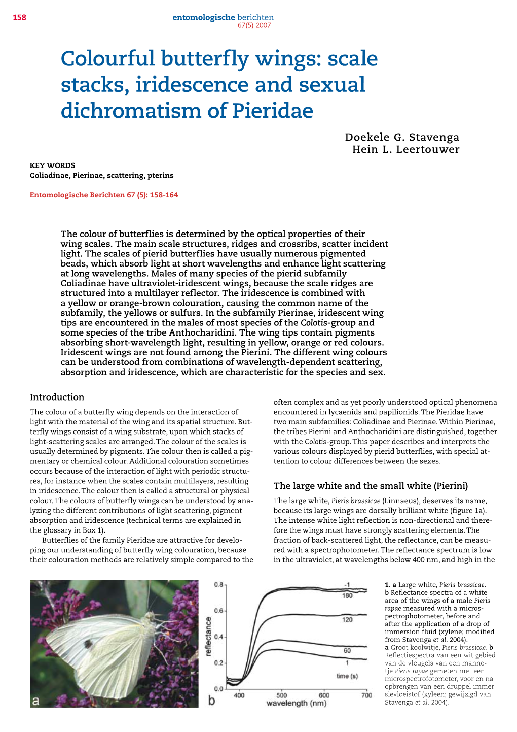 Colourful Butterfly Wings: Scale Stacks, Iridescence and Sexual Dichromatism of Pieridae Doekele G