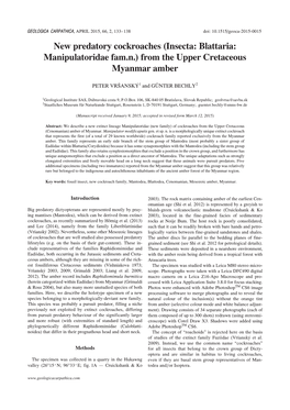 From the Upper Cretaceous Myanmar Amber