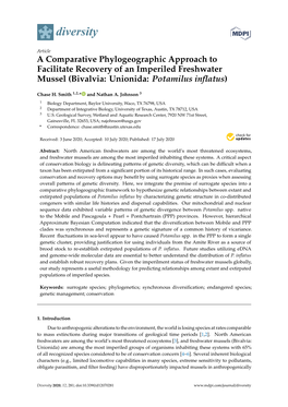 A Comparative Phylogeographic Approach to Facilitate Recovery of an Imperiled Freshwater Mussel (Bivalvia: Unionida: Potamilus Inﬂatus)