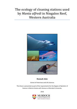 The Ecology of Cleaning Stations Used by Manta Alfredi in Ningaloo Reef, Western Australia