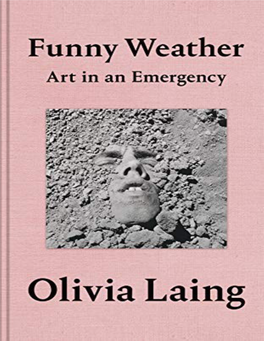 Olivia Laing Funny