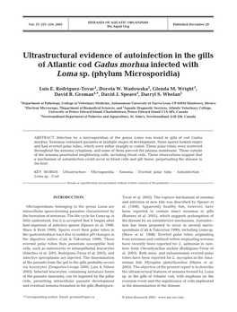 Ultrastructural Evidence of Autoinfection in the Gills of Atlantic Cod Gadus Morhua Infected with Loma Sp