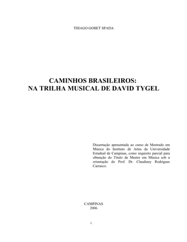 Na Trilha Musical De David Tygel