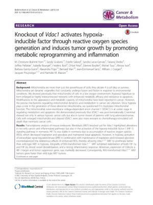 Knockout of Vdac1 Activates Hypoxia-Inducible Factor Through